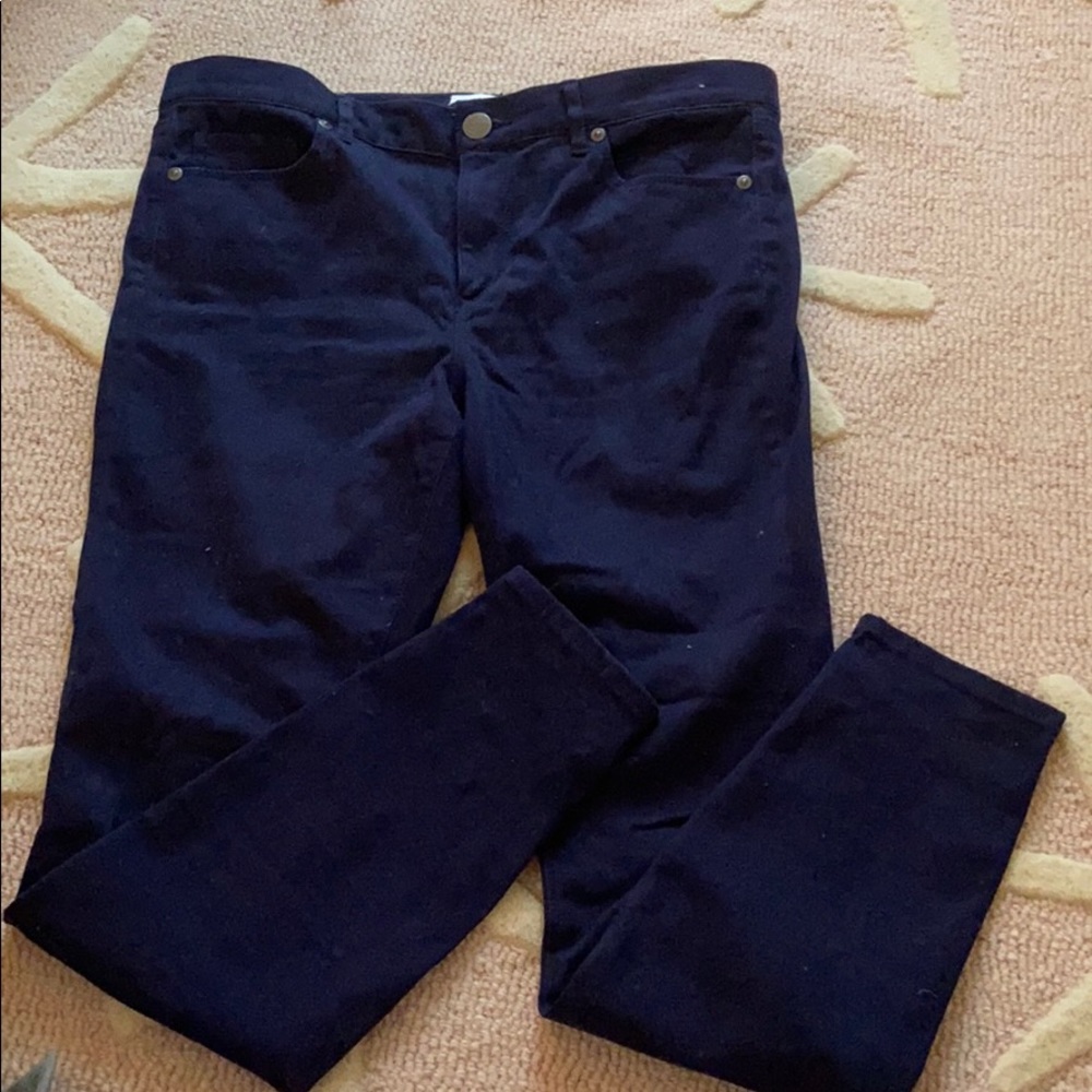 Loft Suede Navy Blue Leggings - Size Small